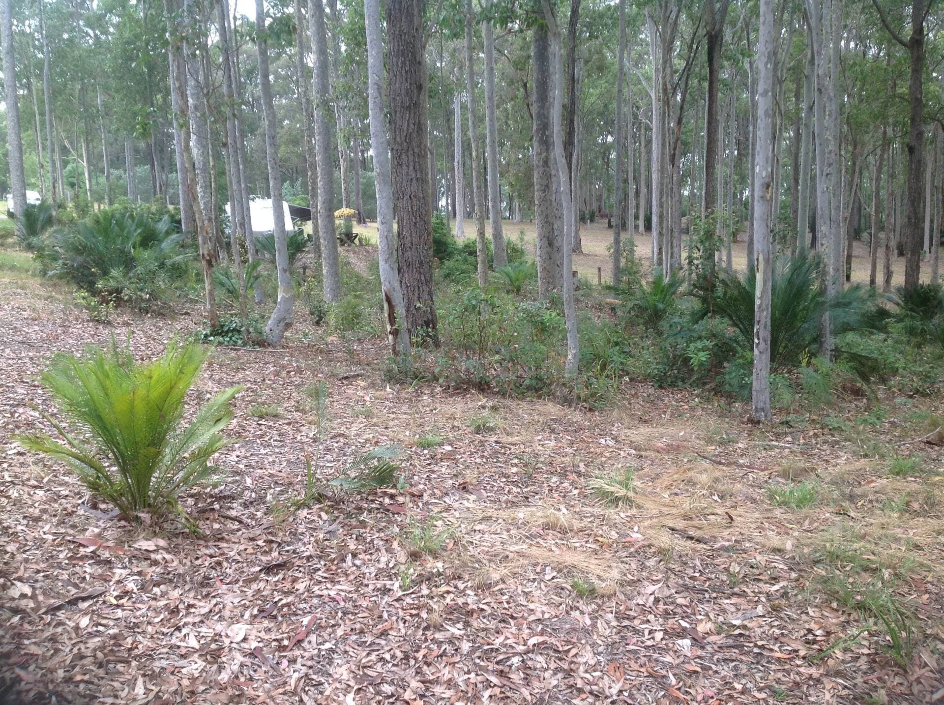 109 Old Highway, Narooma - Thumbnail 3