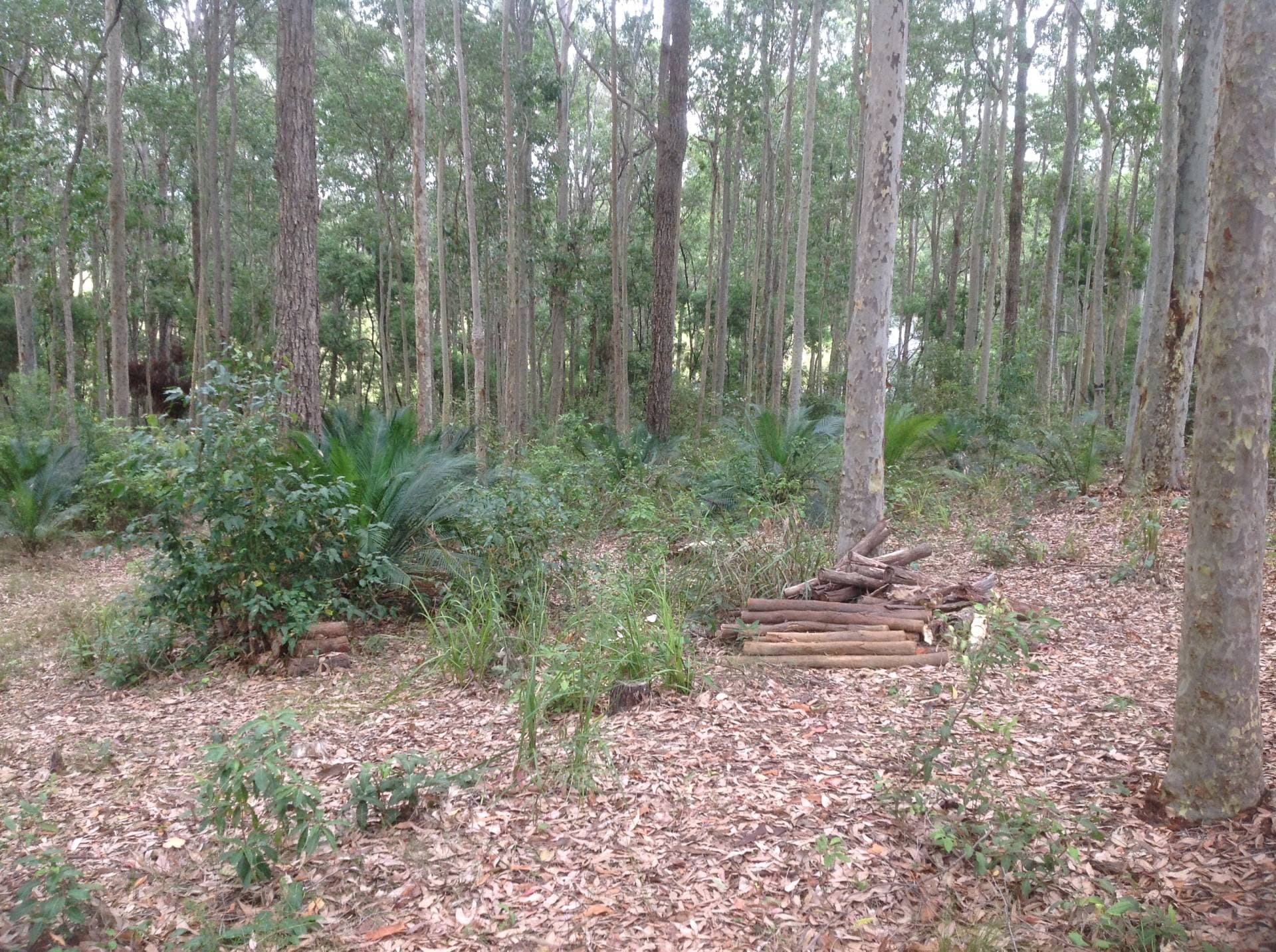 109 Old Highway, Narooma - Thumbnail 4
