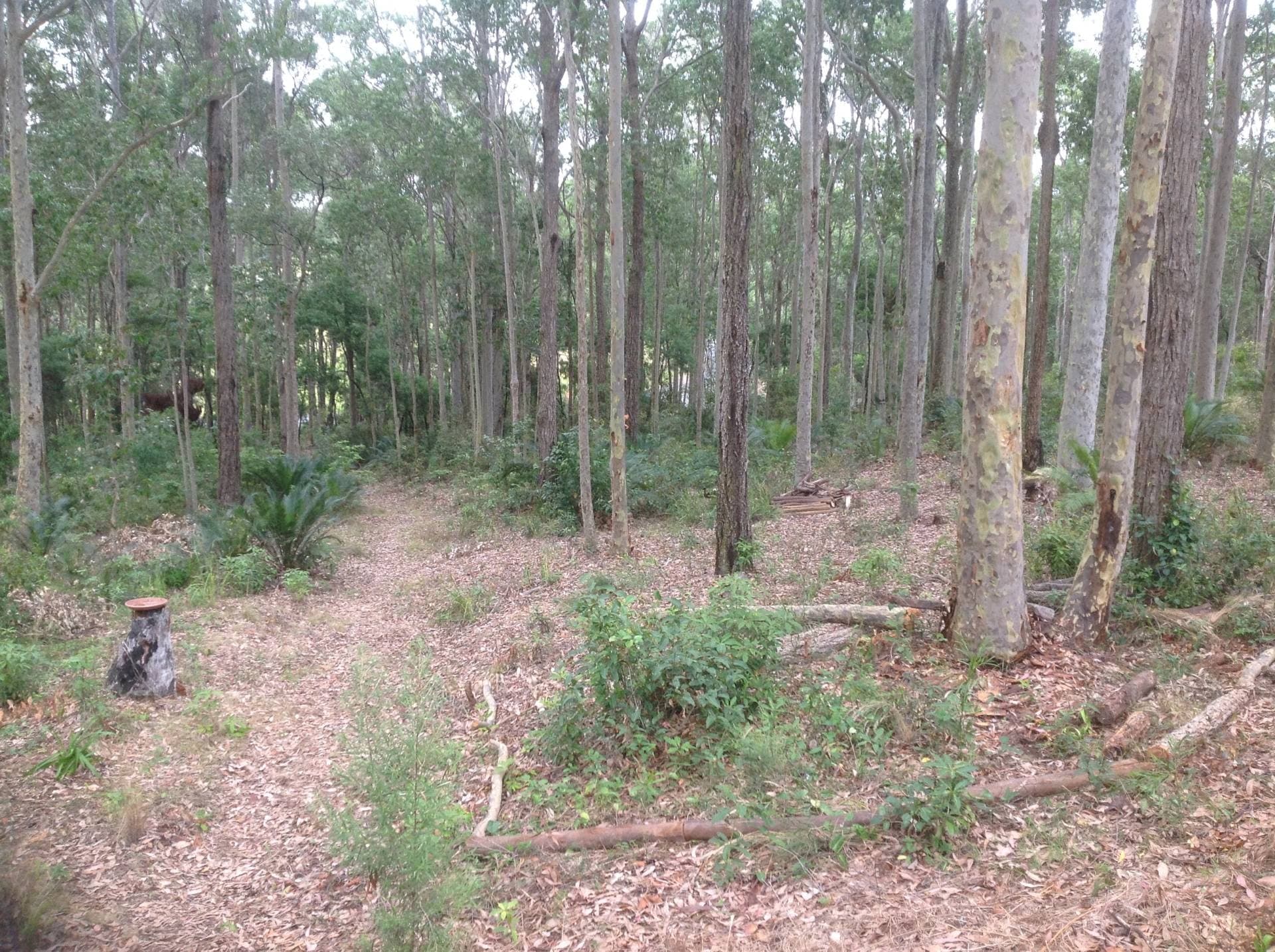 109 Old Highway, Narooma - Thumbnail 5