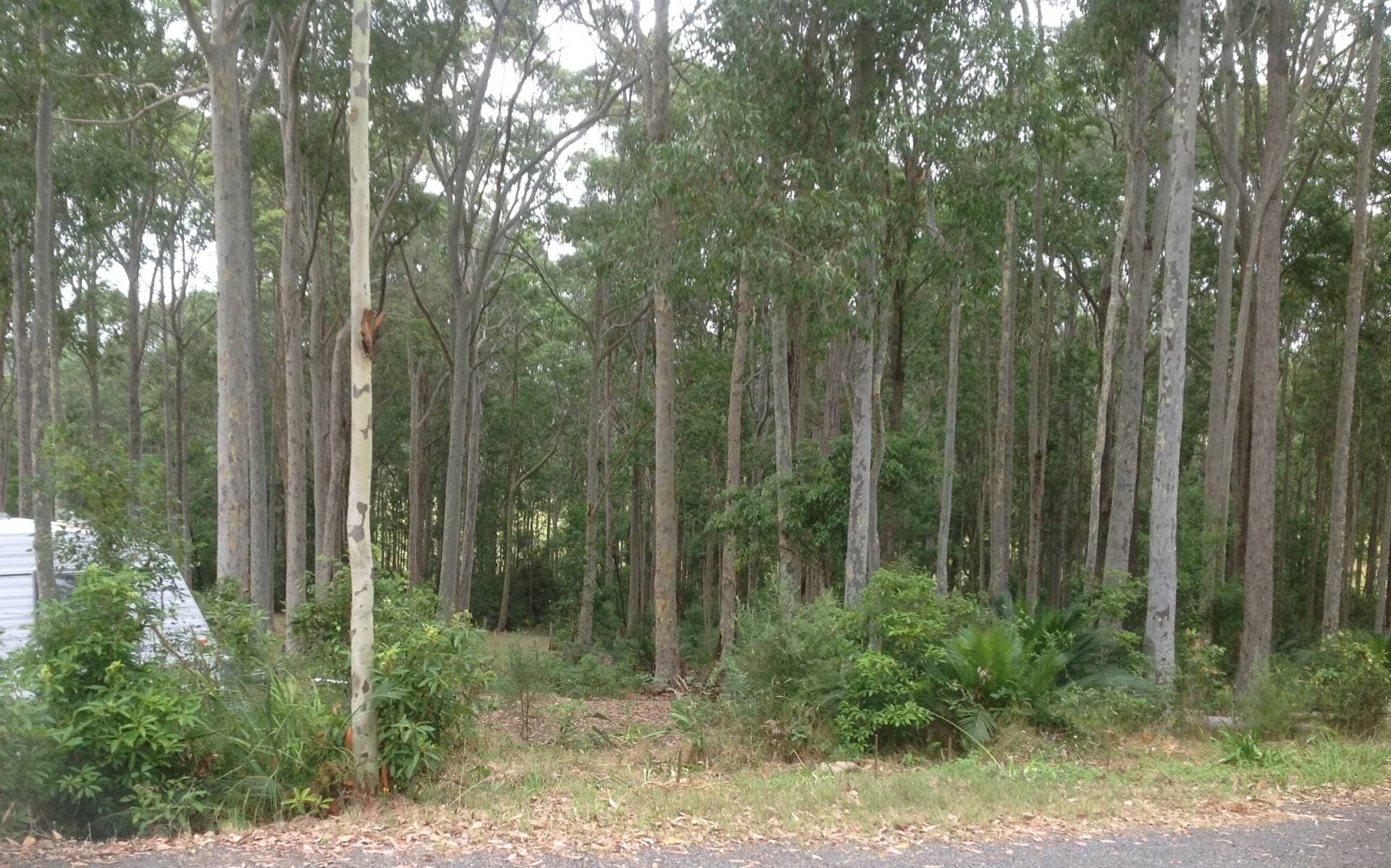 109 Old Highway, Narooma - Thumbnail 6