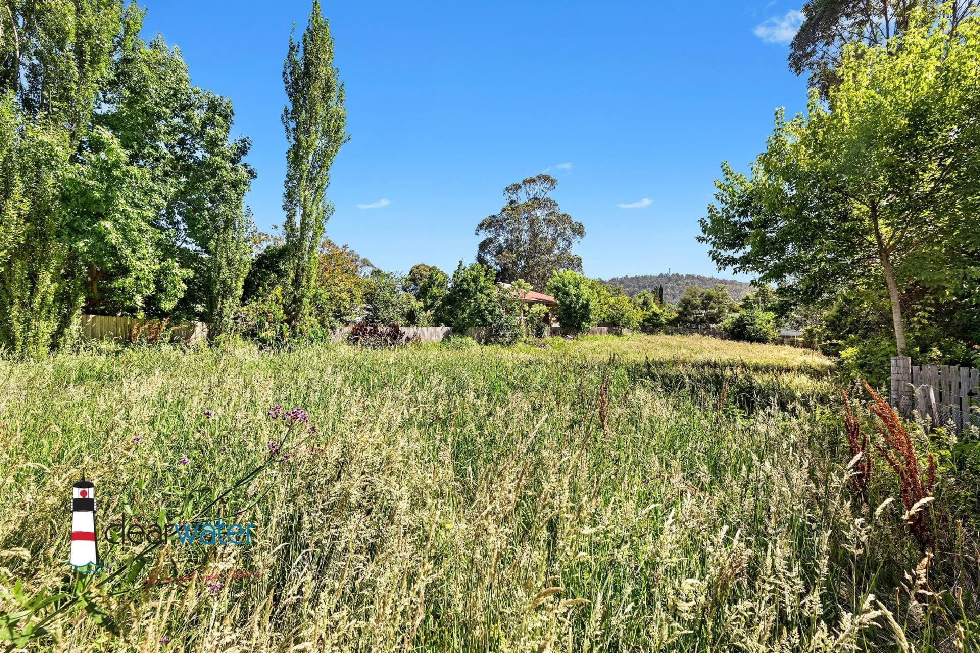 24 Hoyer St, Cobargo - Thumbnail 8