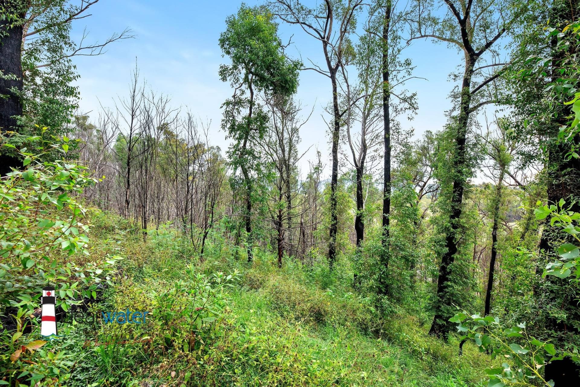 Lot 18 - 19 Gillespie St, Cobargo - Thumbnail 4