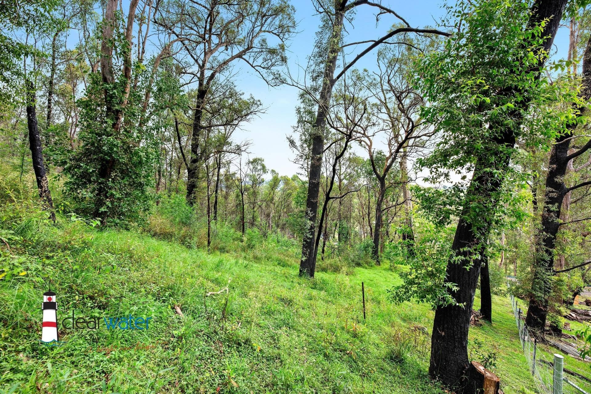 Lot 18 - 19 Gillespie St, Cobargo - Thumbnail 5
