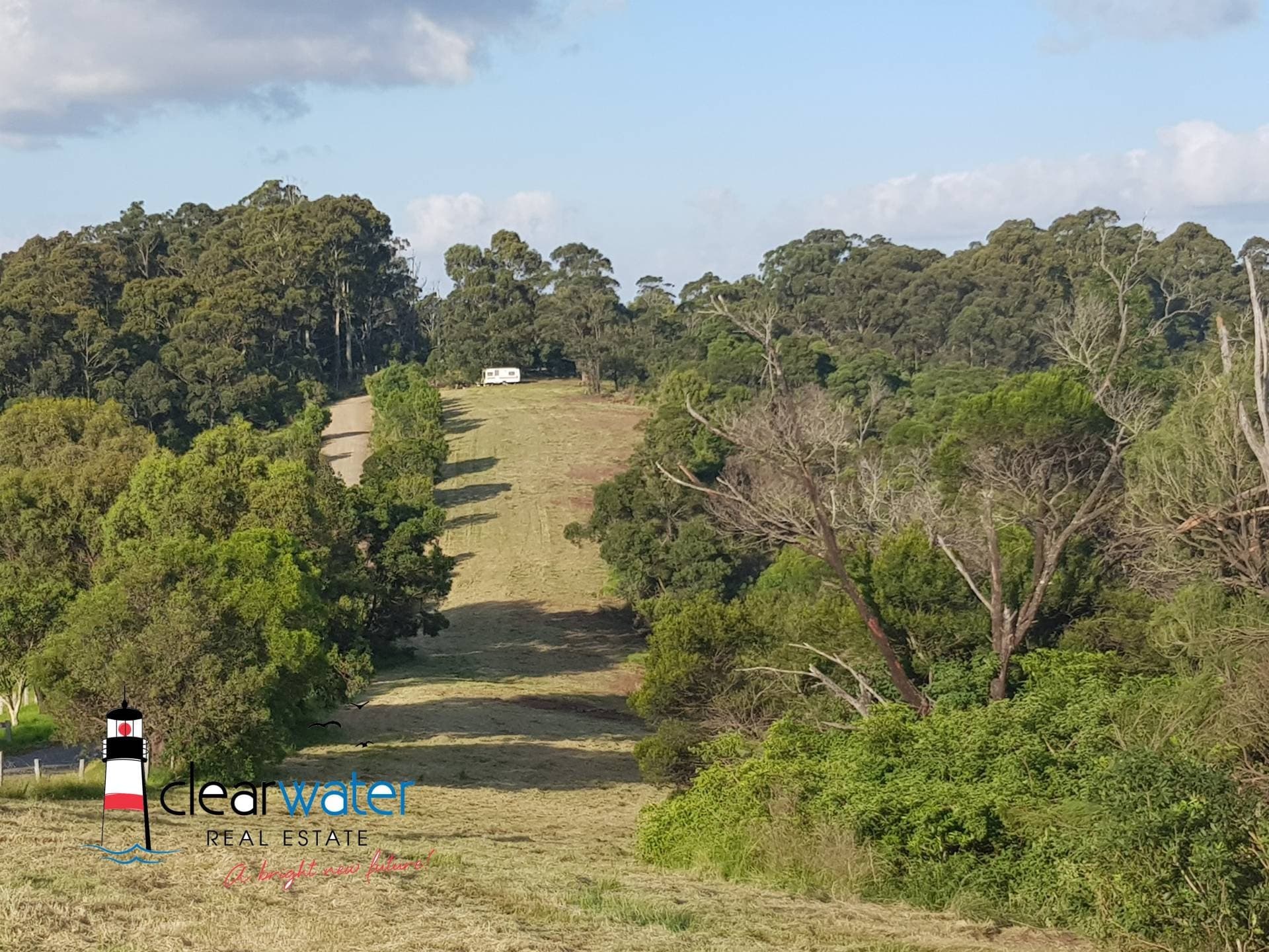 Lot 31 Maher Lane, Central Tilba - Thumbnail 2