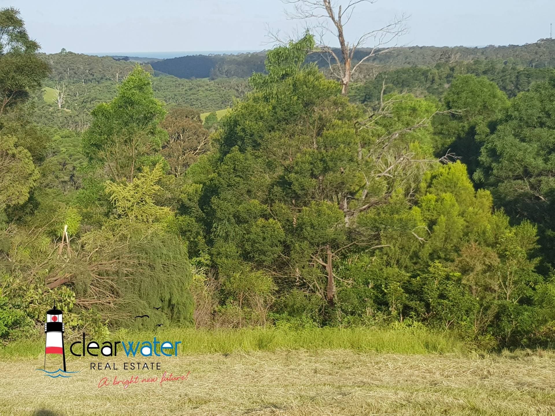 Lot 31 Maher Lane, Central Tilba - Thumbnail 3