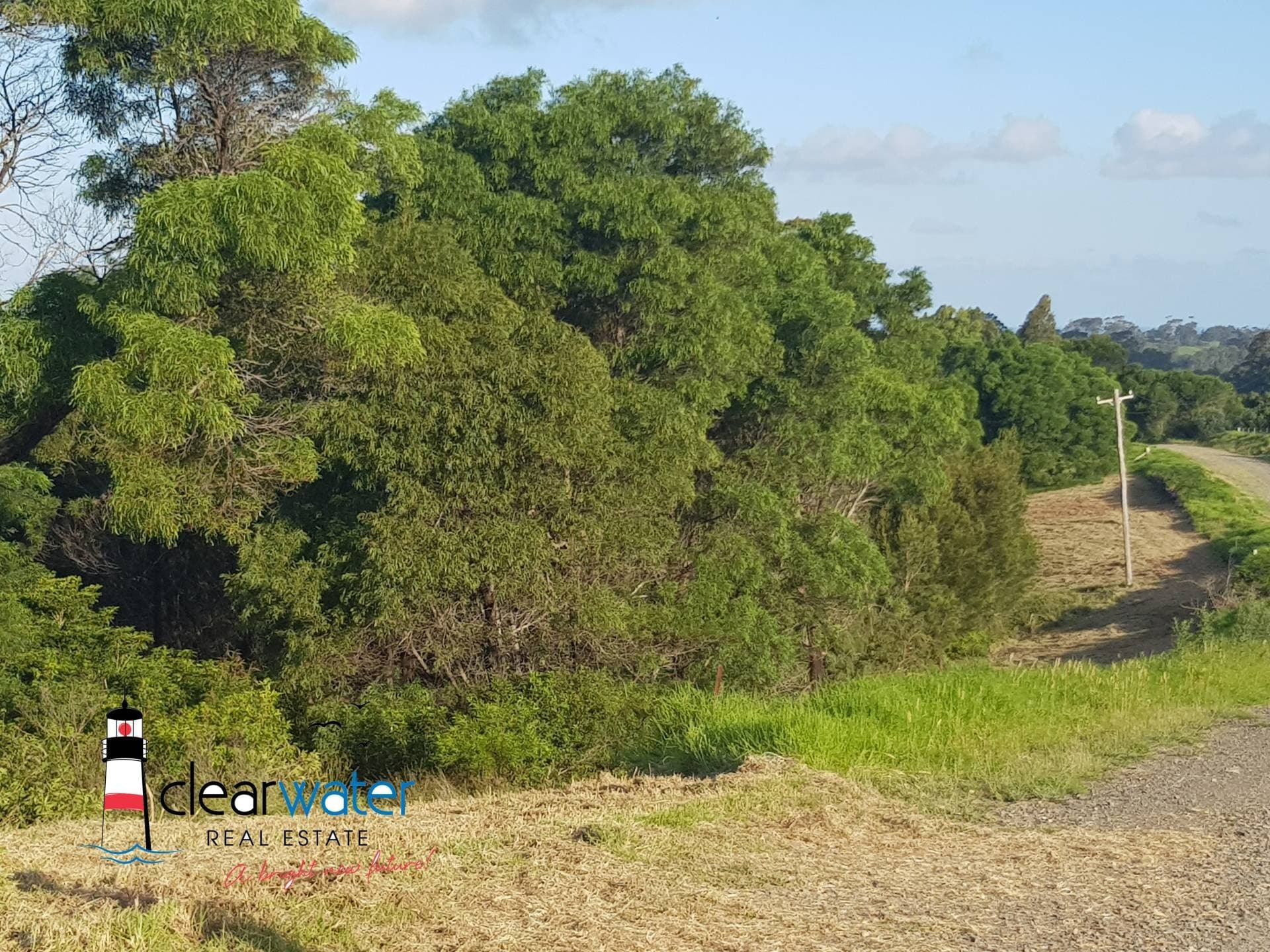 Lot 31 Maher Lane, Central Tilba - Thumbnail 4