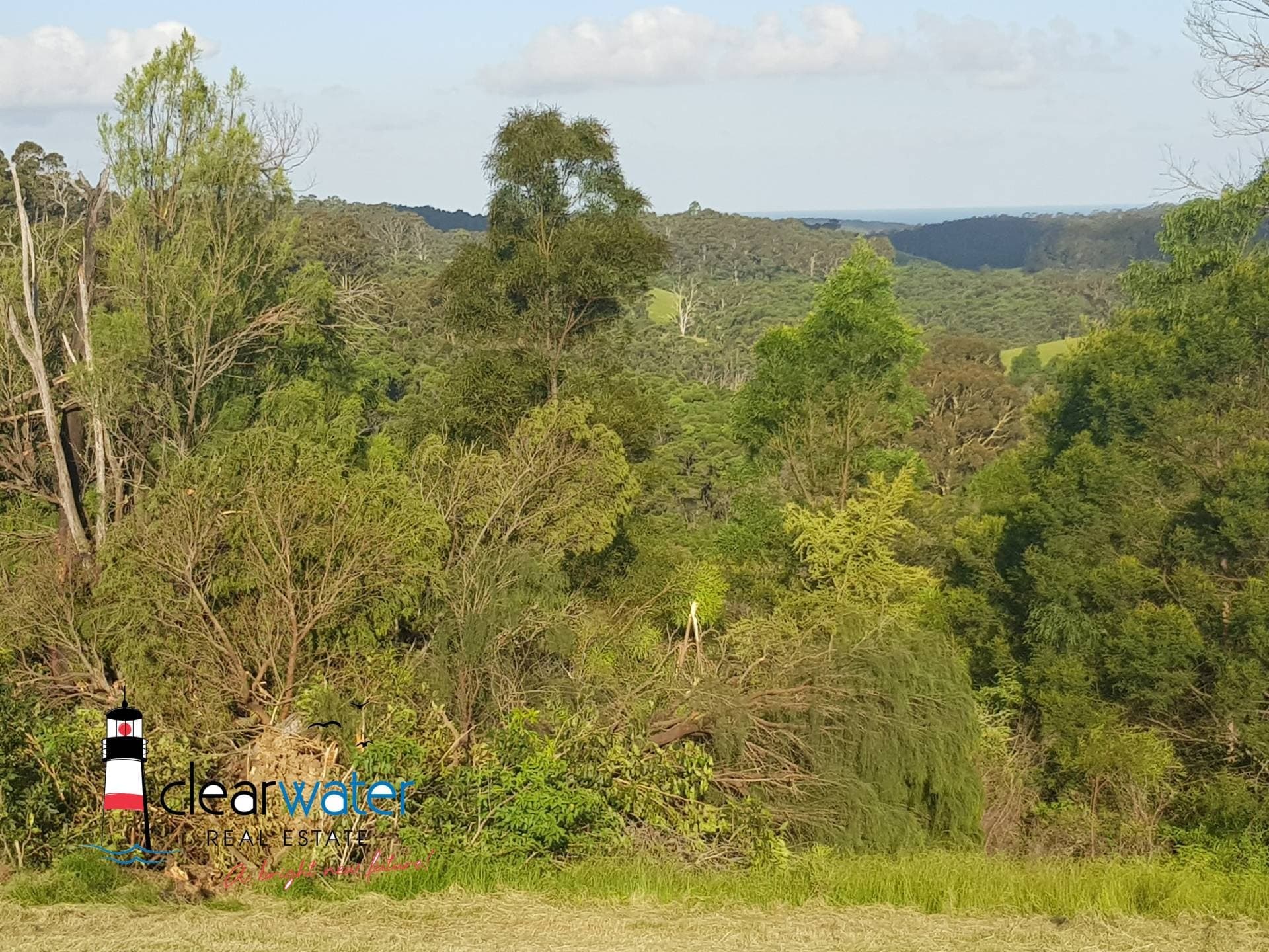 Lot 31 Maher Lane, Central Tilba - Thumbnail 5