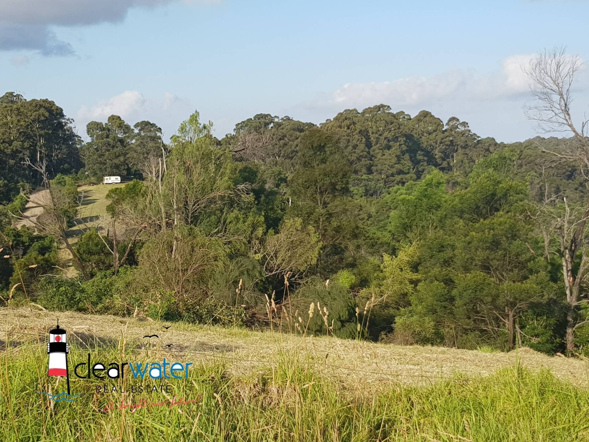 Lot 31 Maher Lane, Central Tilba - Thumbnail 6