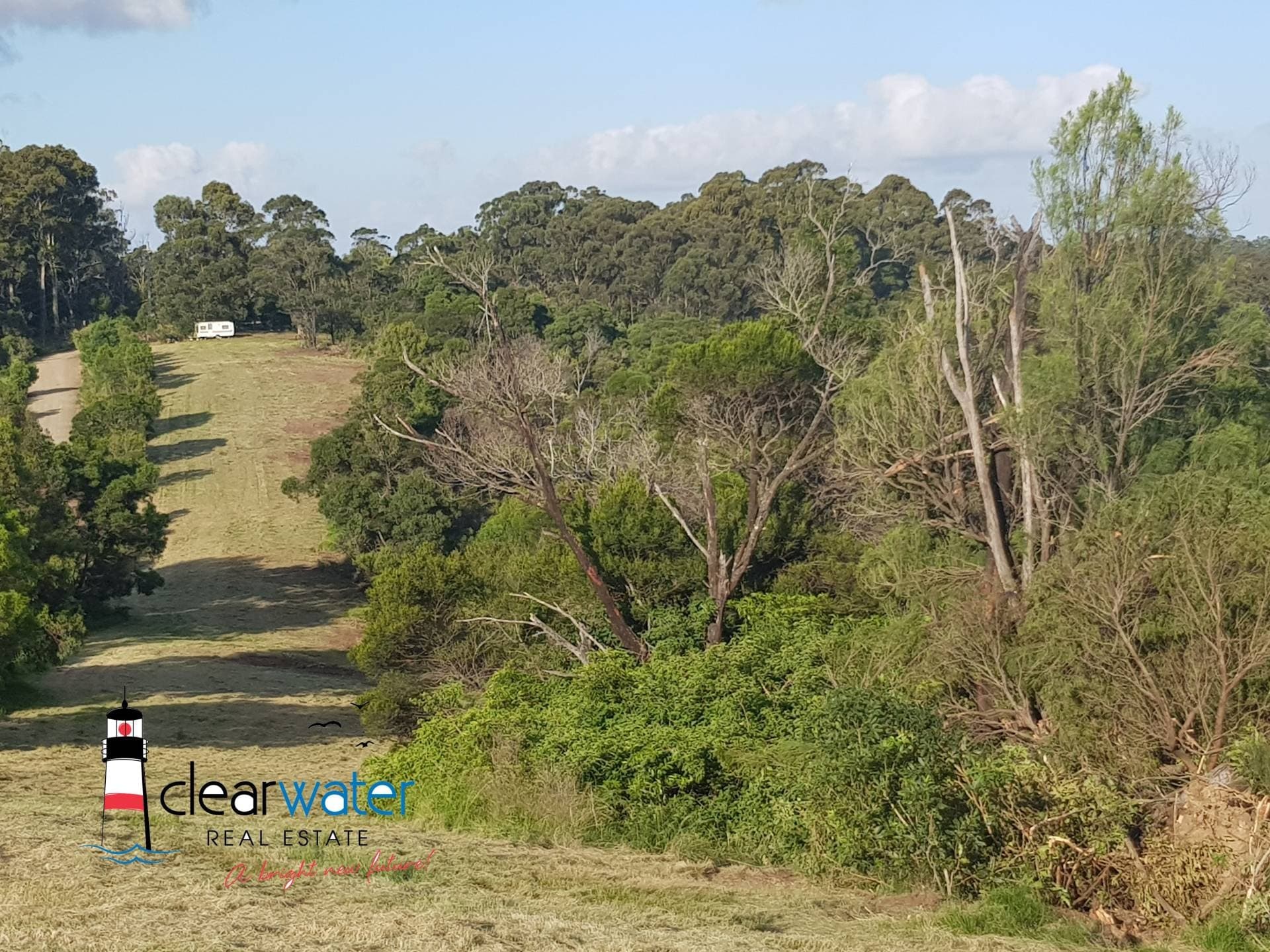 Lot 31 Maher Lane, Central Tilba - Thumbnail 7