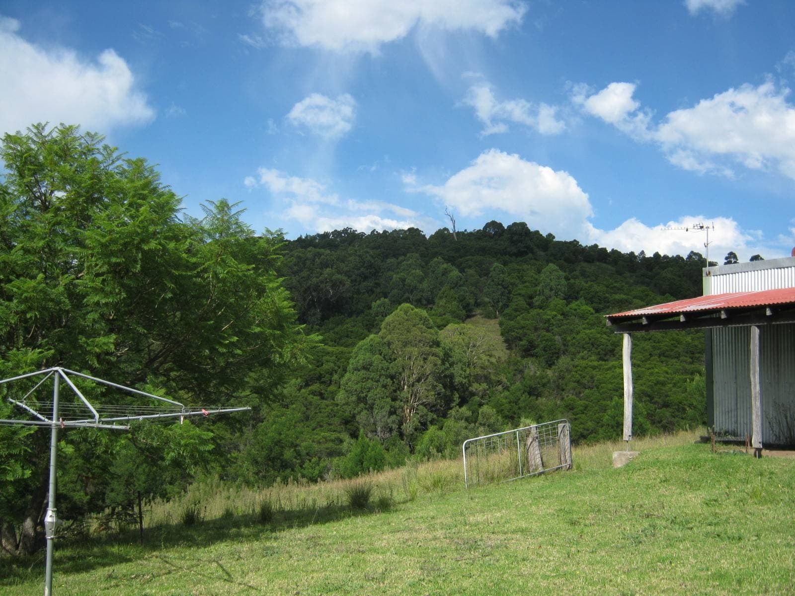 1099 Upper Brogo Rd, Brogo - Thumbnail 8