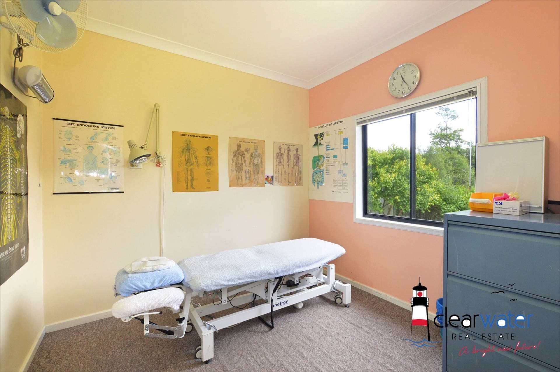 146 Princess Hwy, Narooma - Thumbnail 4