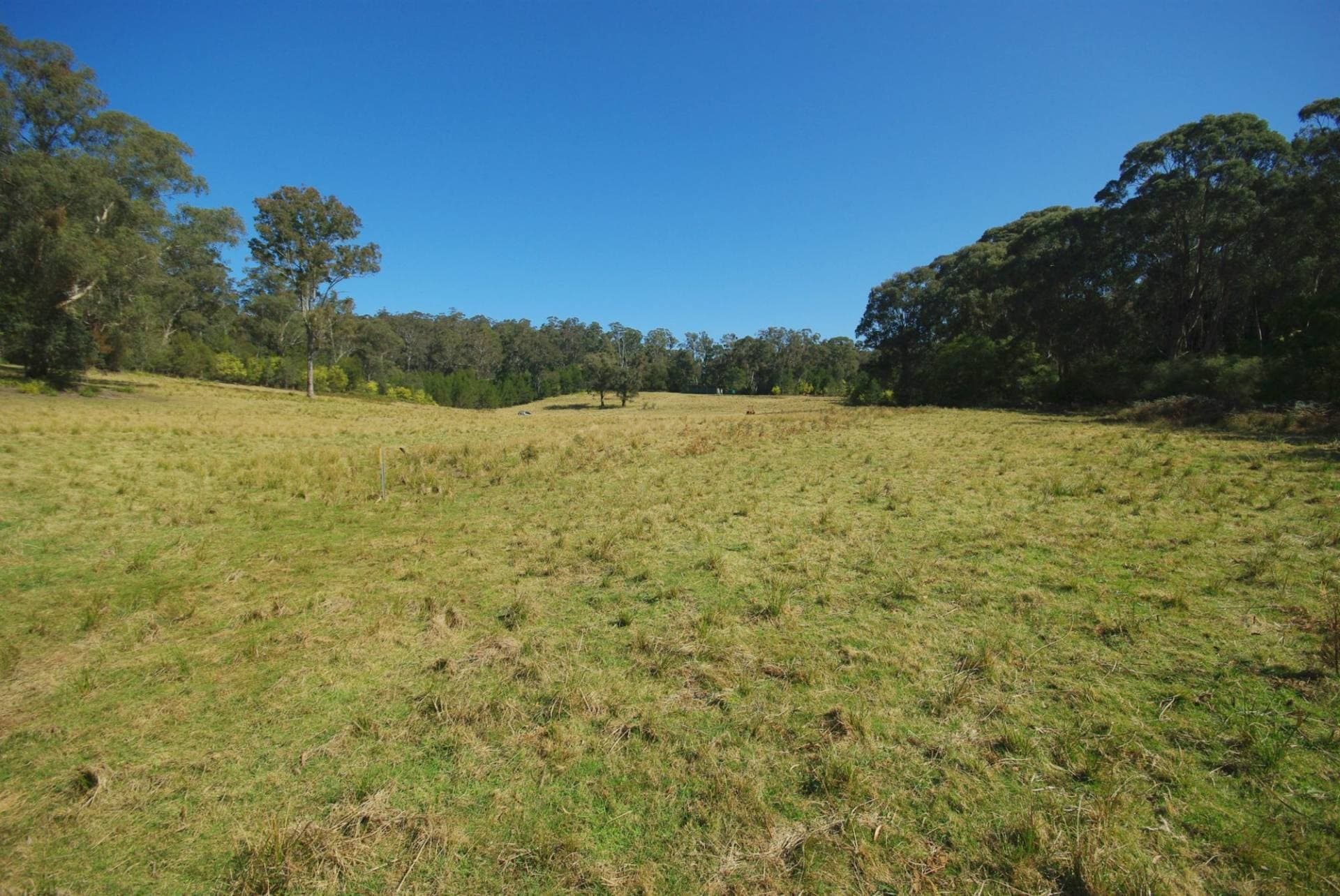 Lot 31 Wagonga Scenic Drive, Narooma - Thumbnail 2