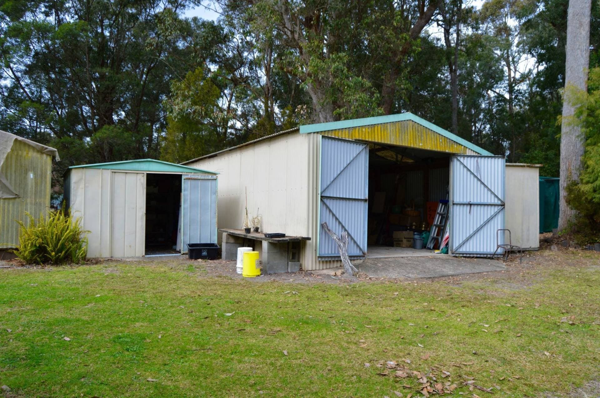 117 Bodalla Park Drive, Bodalla - Thumbnail 5