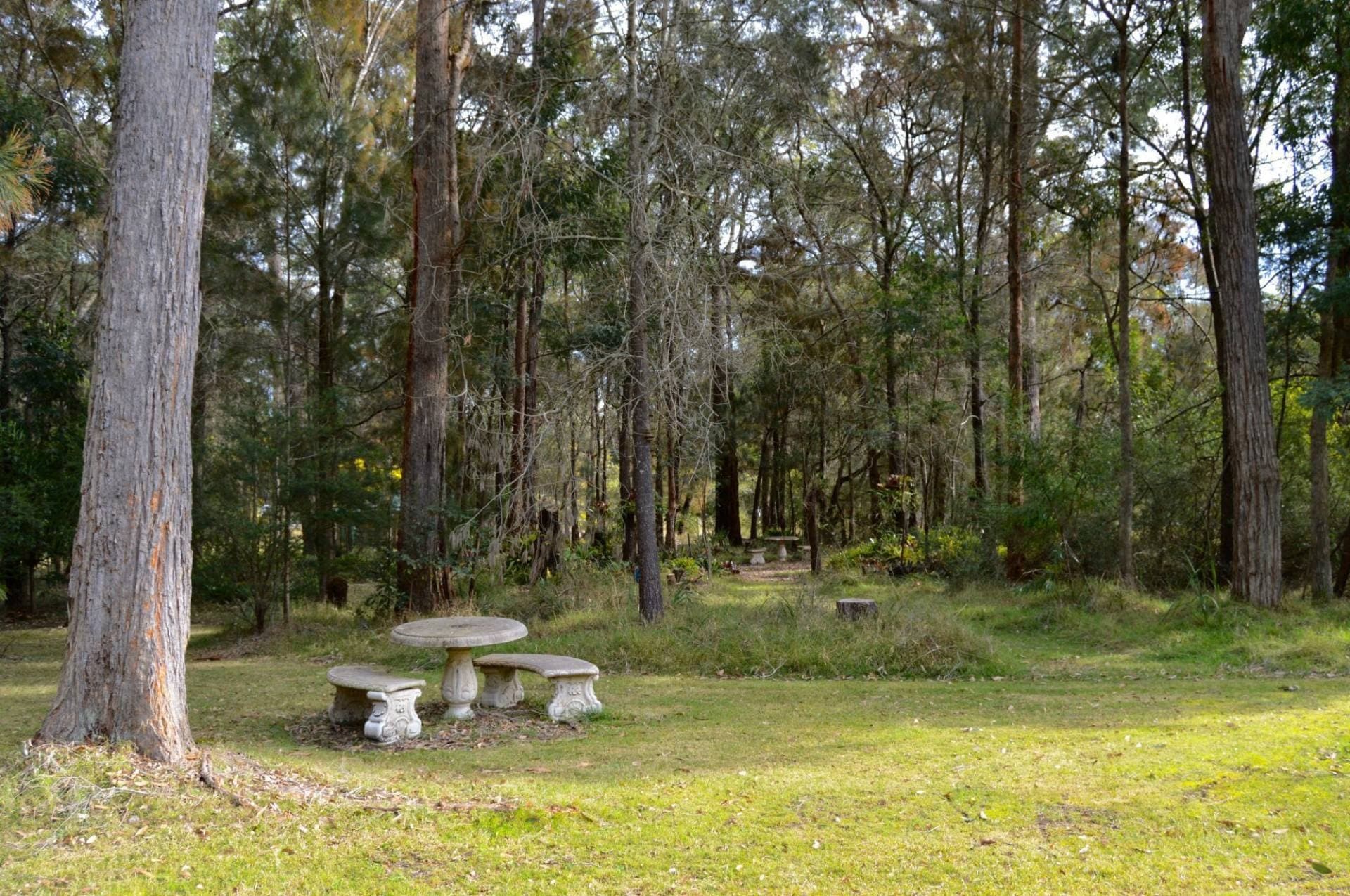 117 Bodalla Park Drive, Bodalla - Thumbnail 8