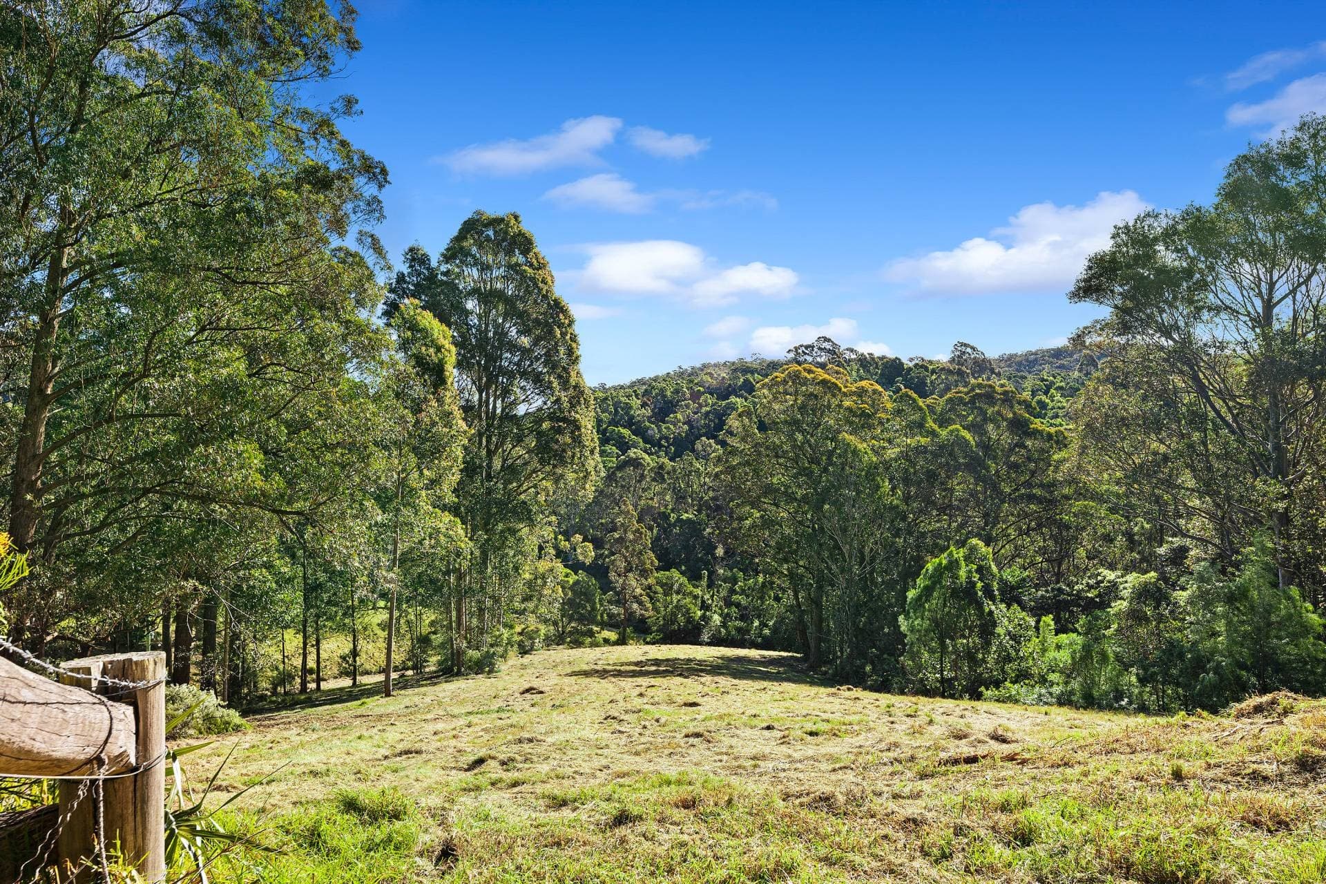 LOT 7 Ridge Rd, Central Tilba - Thumbnail 6