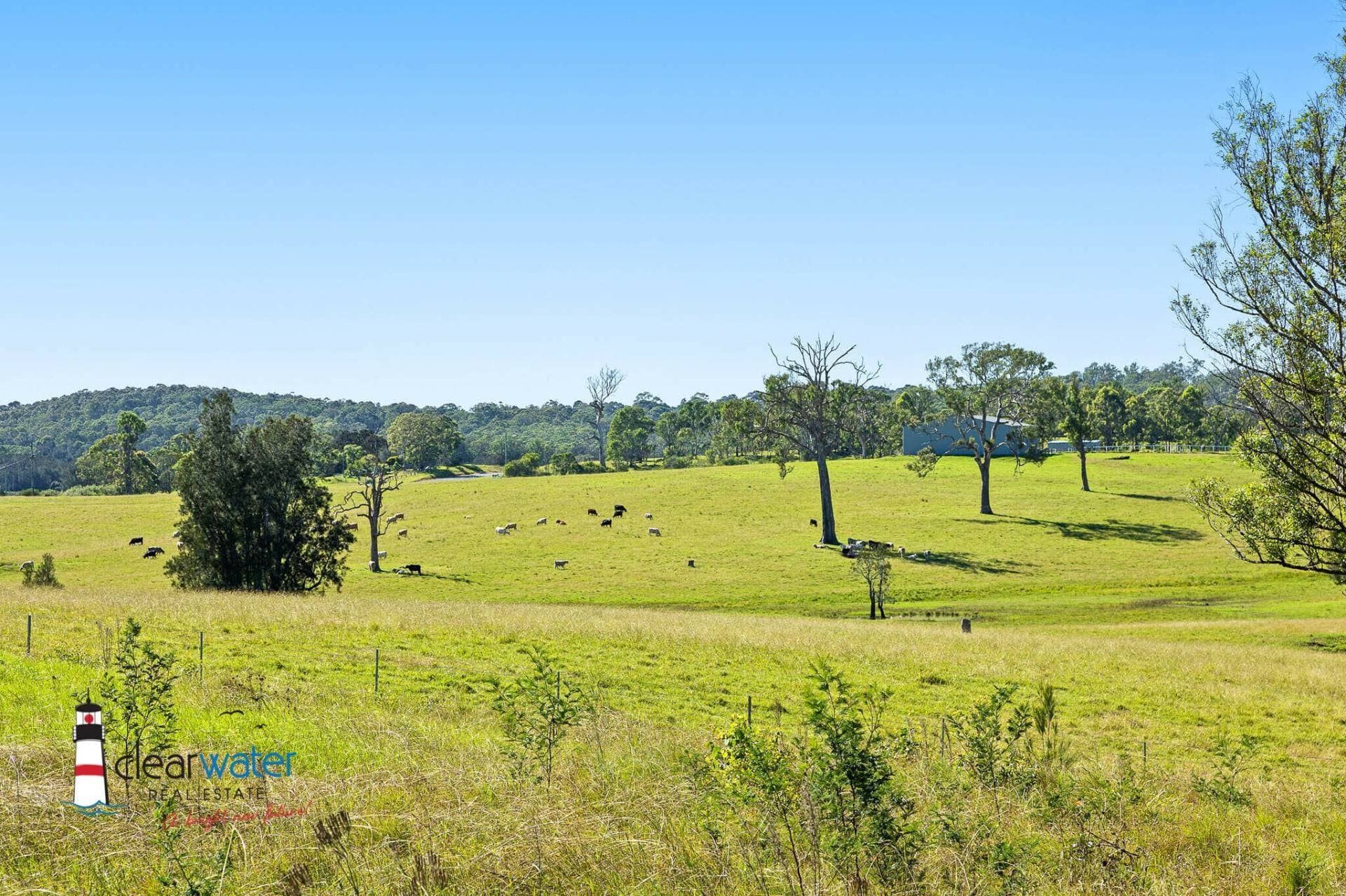 26 Caswell St, Moruya - Thumbnail 5