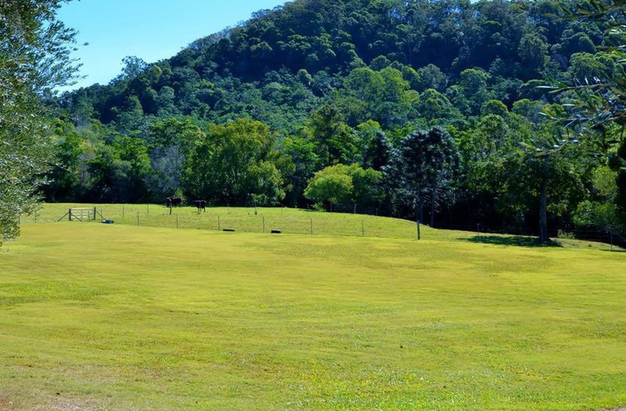 80 Musavale Road, Eerwah Vale, Eerwah Vale - Thumbnail 5