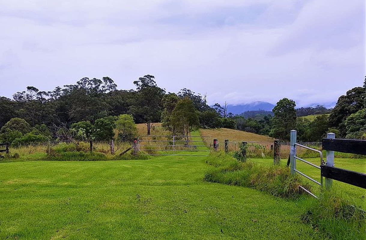 794 Curramore Road, Curramore, Curramore - Thumbnail 2