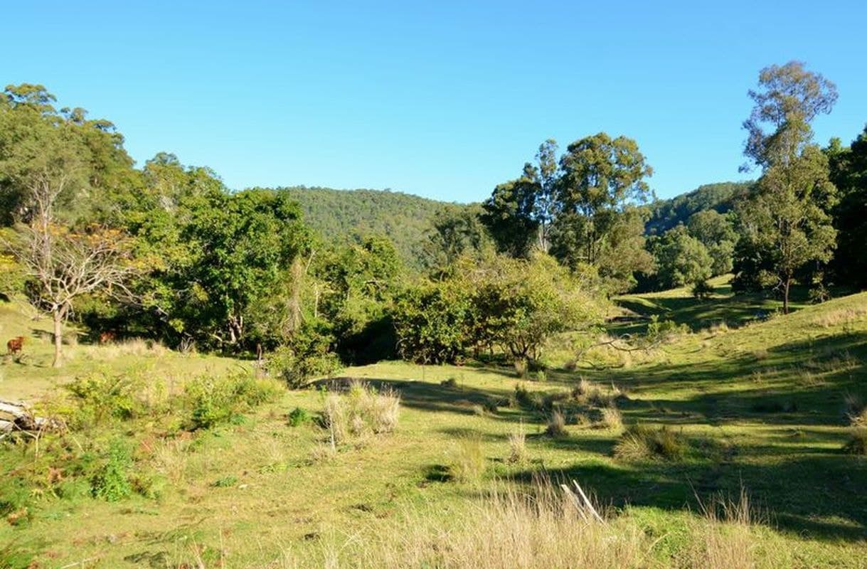 Conondale, Conondale - Thumbnail 7
