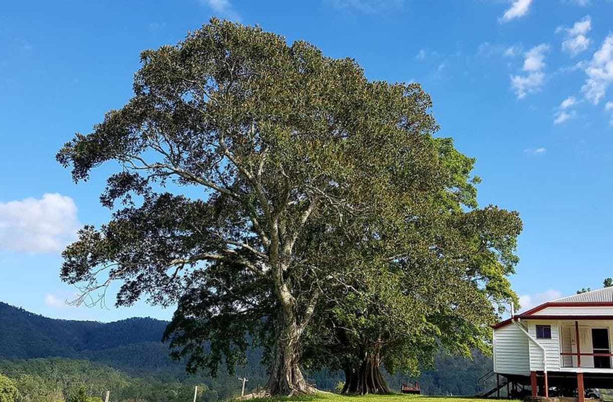 1606 Mount Kilcoy Road, Mount Kilcoy, Mount Kilcoy - Image 1