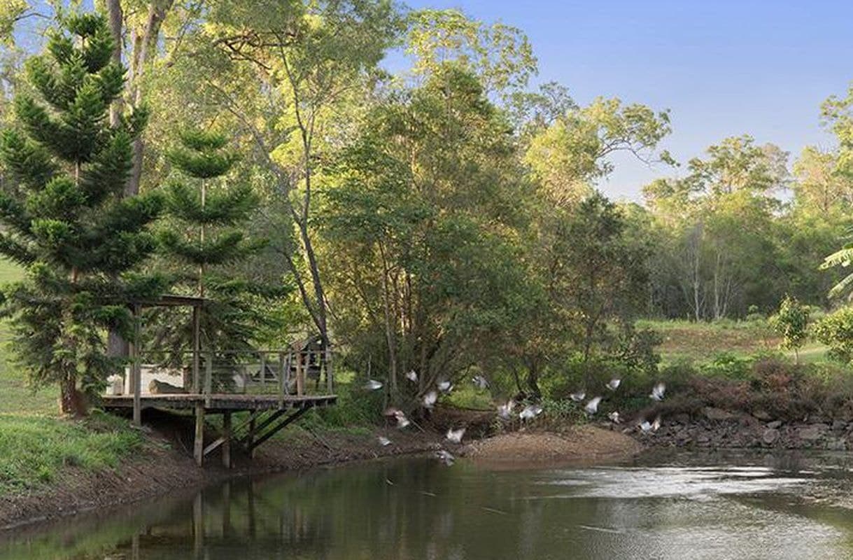 8 Andrew Clarke Road, Whiteside, Whiteside - Thumbnail 5