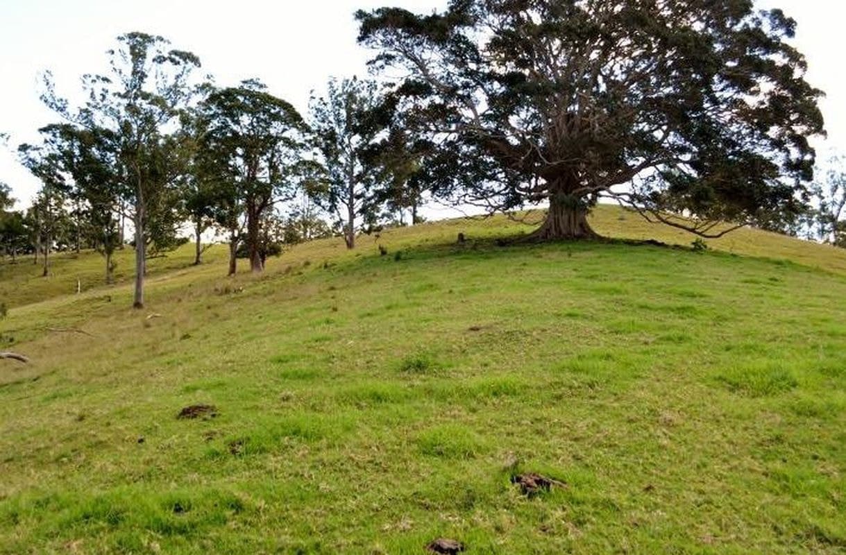 Lot 74 Freds Road, Ocean View, Ocean View - Image 1