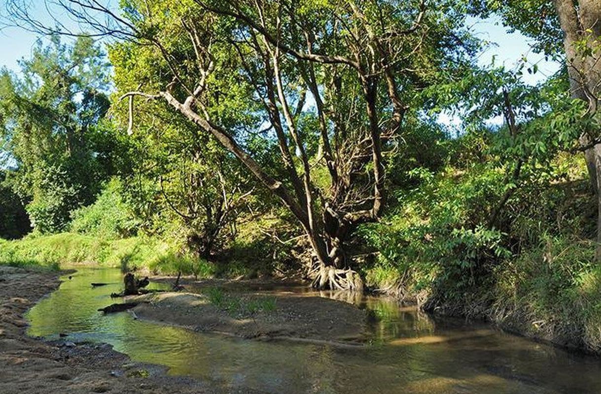 549 Mount Kilcoy Road, Mount Kilcoy, Mount Kilcoy - Thumbnail 7