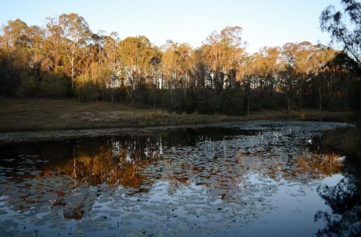 139 Chappel Road, Delaneys Creek, Delaneys Creek - Thumbnail 4