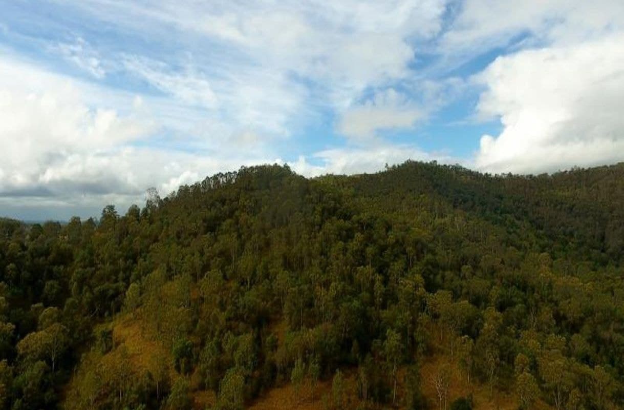 Traves Court, Delaneys Creek, Delaneys Creek - Thumbnail 3