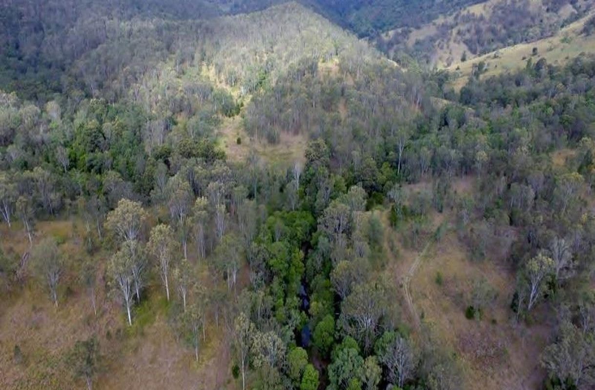 Traves Court, Delaneys Creek, Delaneys Creek - Thumbnail 7