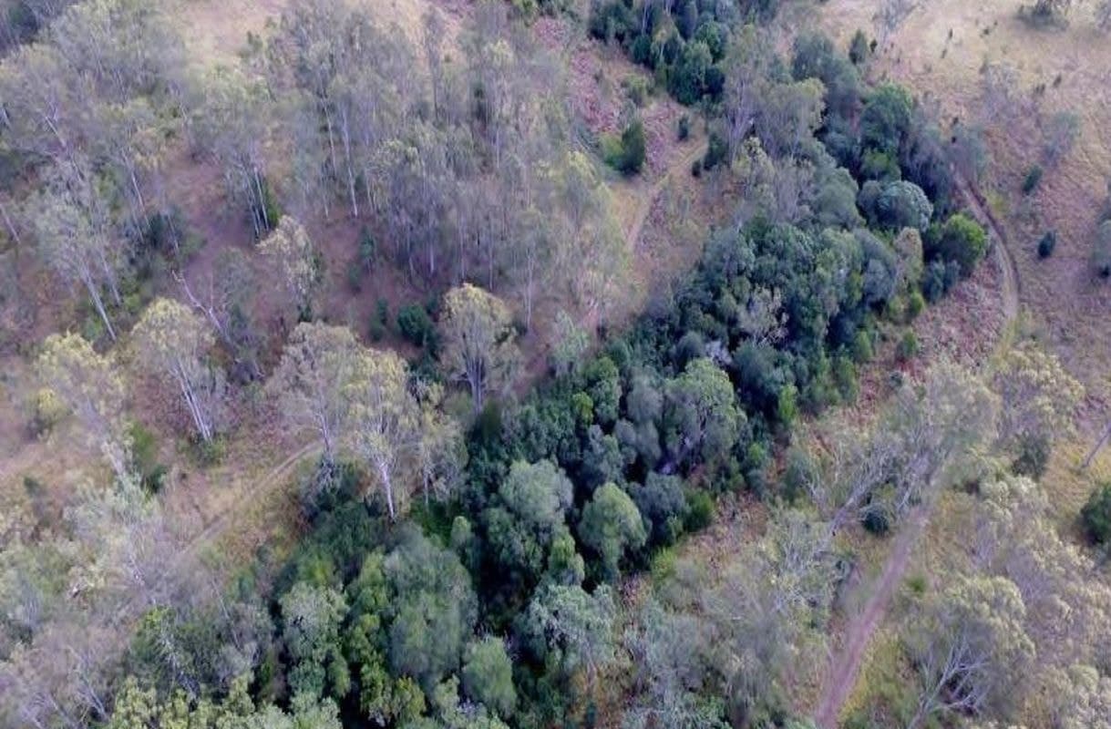 Traves Court, Delaneys Creek, Delaneys Creek - Thumbnail 8