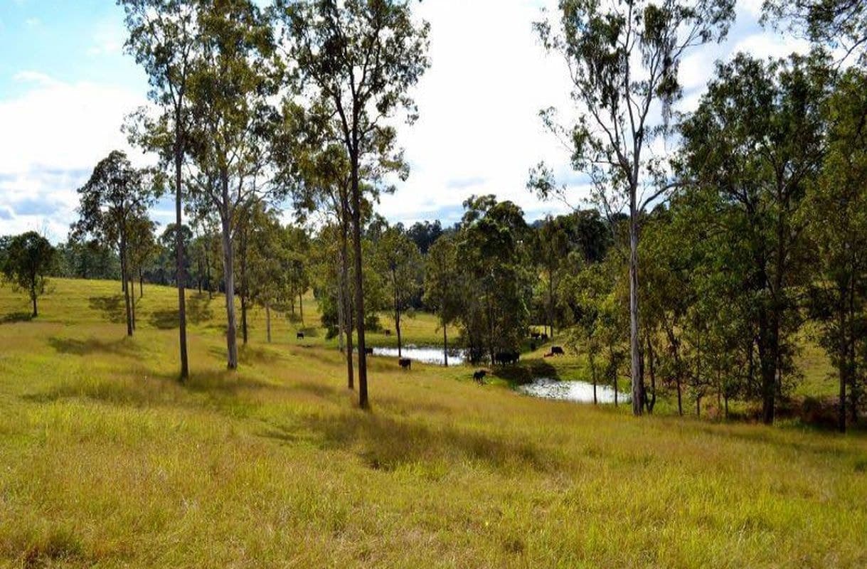 30 Diamondfield Road, Amamoor, Amamoor - Image 1