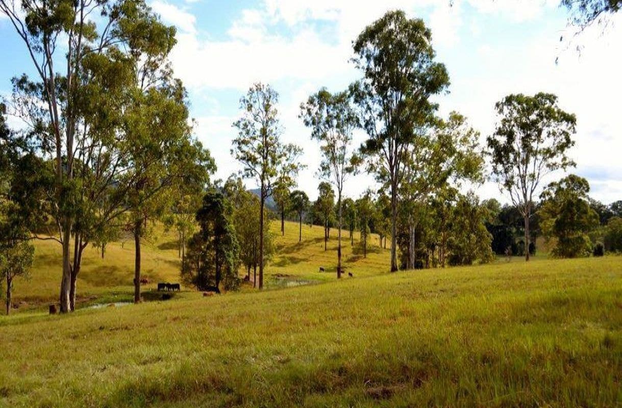 30 Diamondfield Road, Amamoor, Amamoor - Thumbnail 2