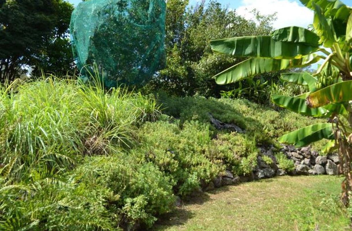402 Moy Pocket Road, Kenilworth, Kenilworth - Thumbnail 5