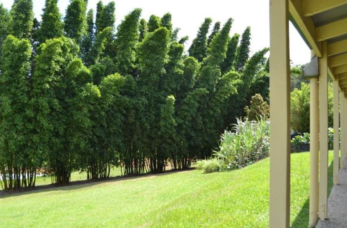 402 Moy Pocket Road, Kenilworth, Kenilworth - Thumbnail 6