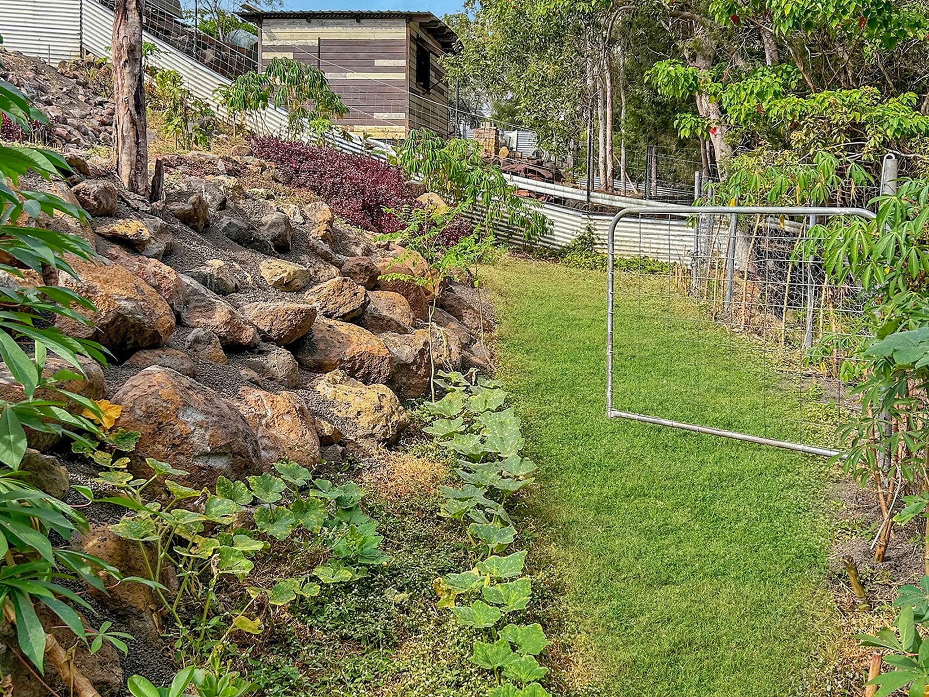 30 ANDRE STREET, Mareeba, Mareeba - Thumbnail 3