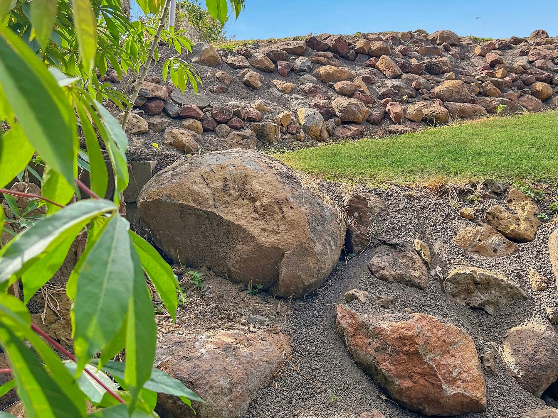30 ANDRE STREET, Mareeba, Mareeba - Thumbnail 4