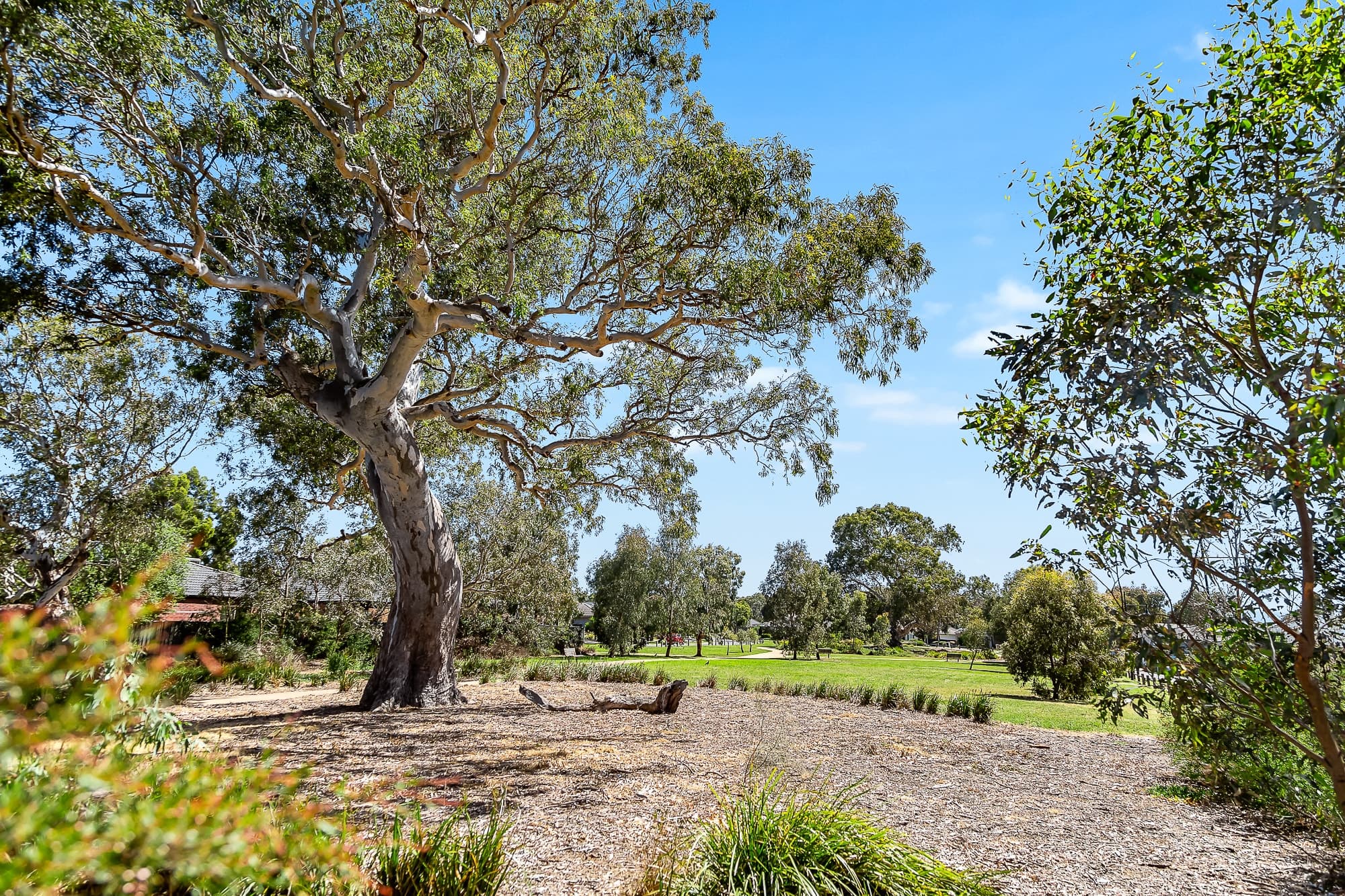 18 Falkirk Drive, Mernda, Mernda - Image 1