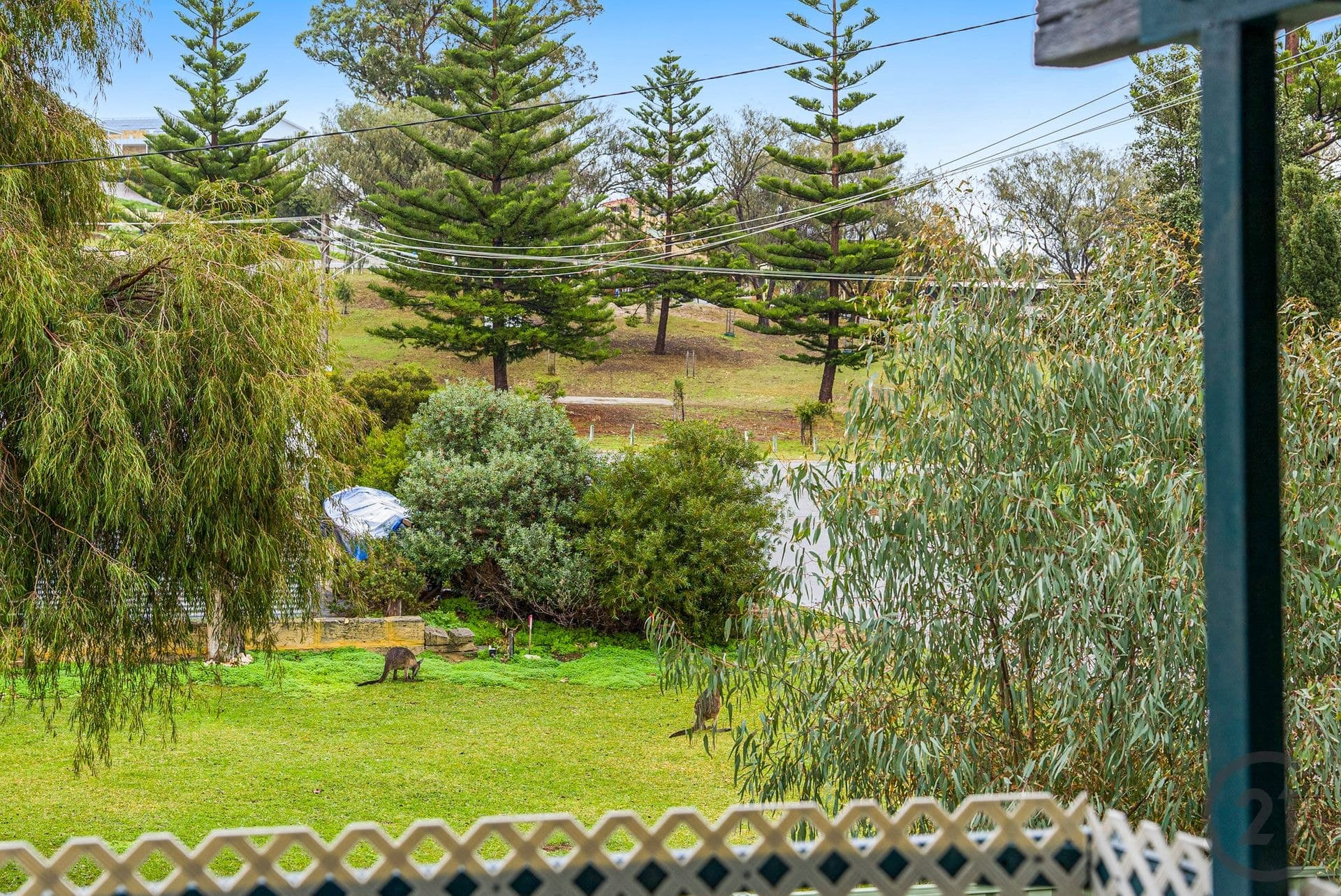 5 Dawe Street, Dawesville, WA, 6211, Dawesville - Thumbnail 3