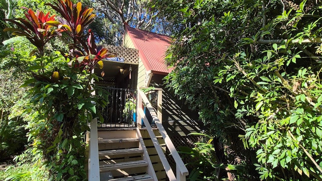 8/10-12 Tropic Lodge Place, Korora, NSW, 2450, Korora - Image 1