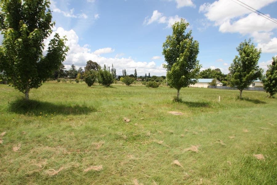 72 Petre Street, Tenterfield NSW 2372, Tenterfield - Image 1