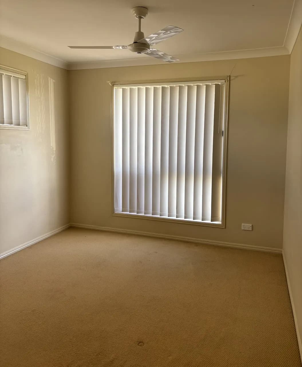 10 Paper Court, Dalby, QLD, 4405, Dalby - Thumbnail 6