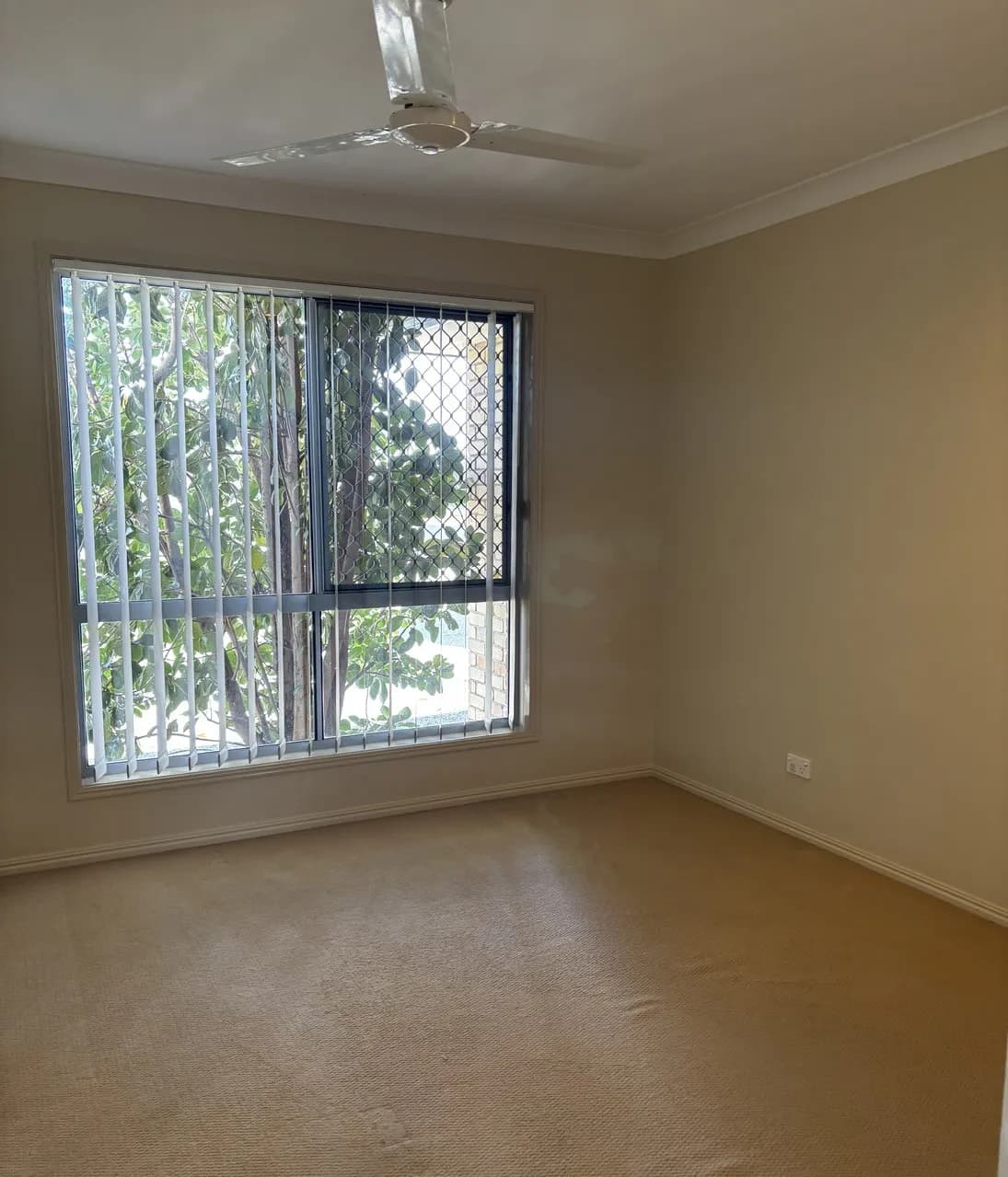 10 Paper Court, Dalby, QLD, 4405, Dalby - Thumbnail 8