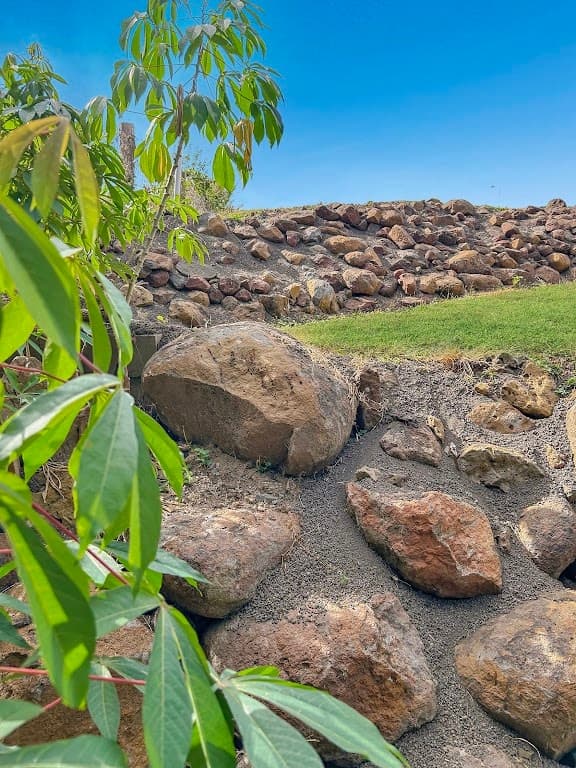 30 Andre Street, Mareeba, QLD, 4880, Mareeba - Thumbnail 4
