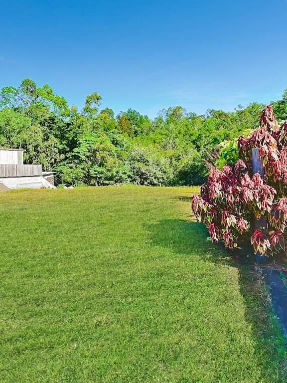 30 Andre Street, Mareeba, QLD, 4880, Mareeba - Thumbnail 5