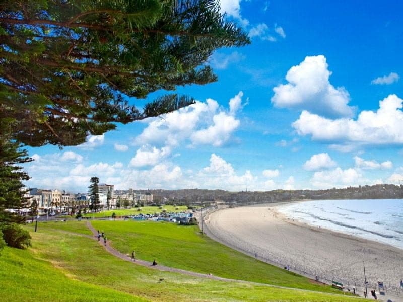 1/19 Denham Street BONDI NSW, Bondi - Thumbnail 5