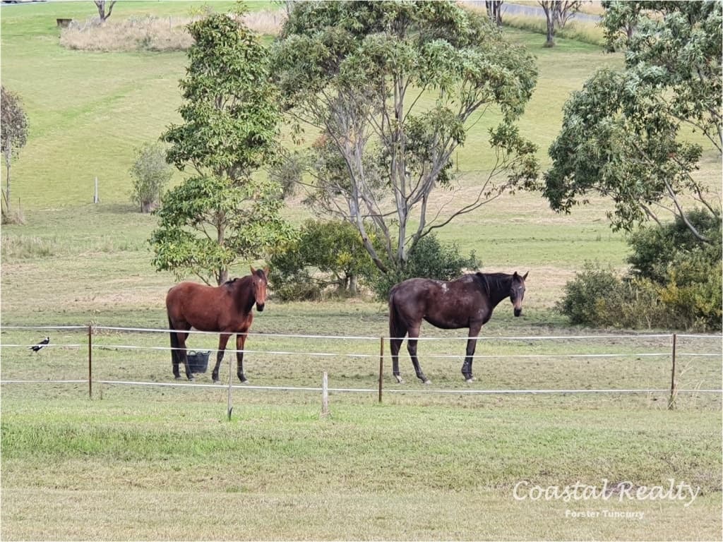 38 Burraneer Road Coomba Park, 38 Burraneer Road Coomba Park - Thumbnail 6