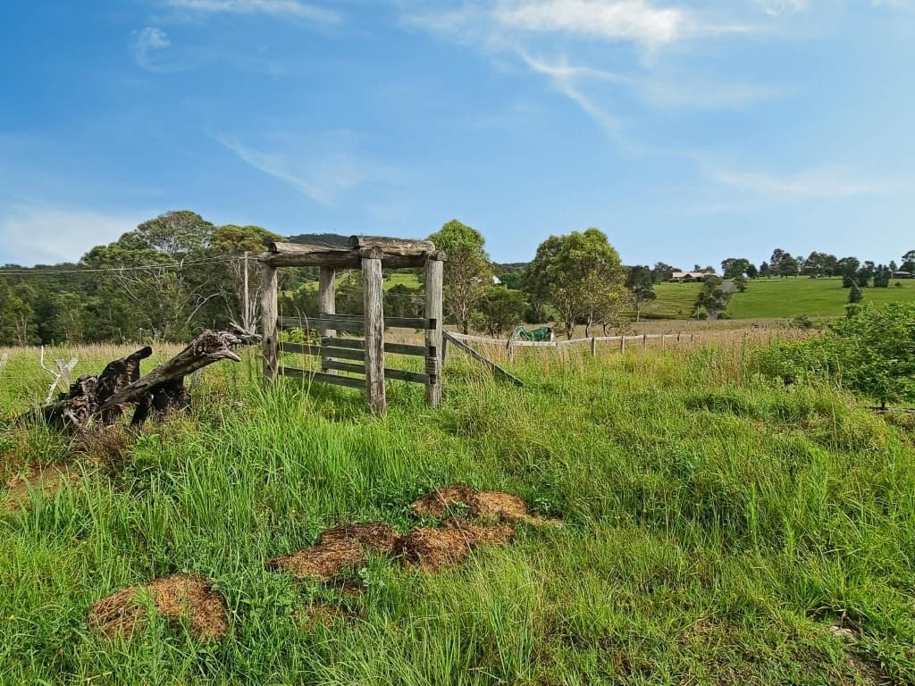 37 Aroona Street Coomba Park, 37 Aroona Street Coomba Park - Image 1
