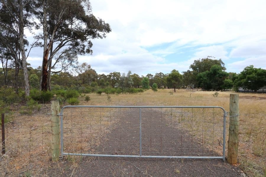 131 Timor Road, Bowenvale VIC 3465, Bowenvale - Image 1