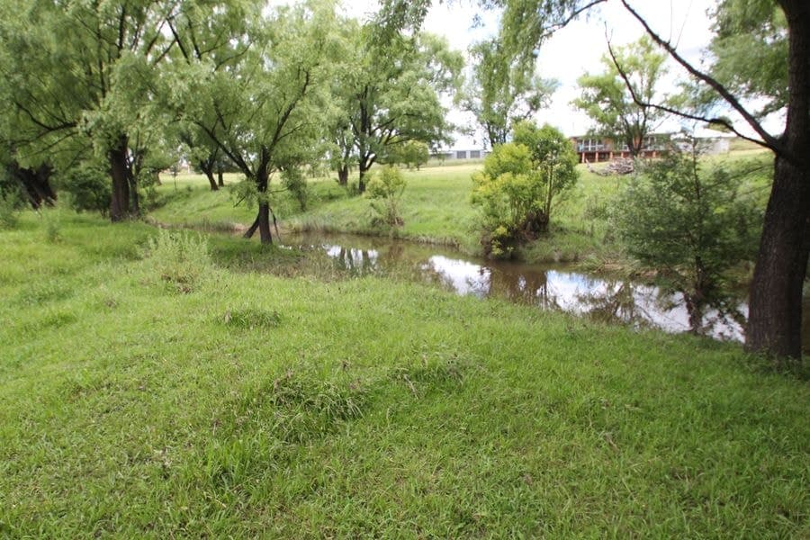 332A Mount Lindesay Road, Tenterfield NSW 2372, Tenterfield - Image 1